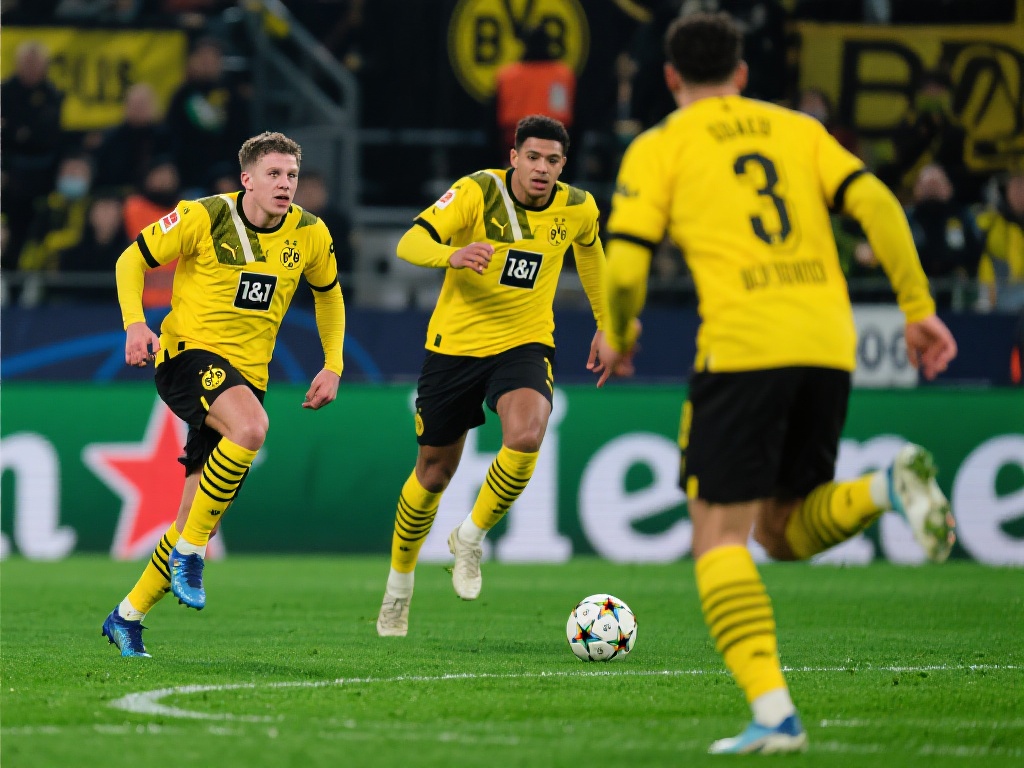 的战术体系 的战术体系